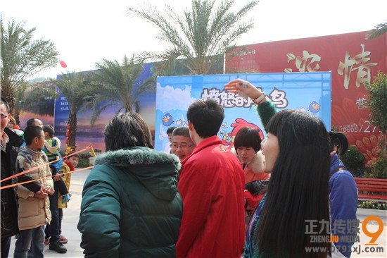 聚龙小镇福缘居:营销中心暨世界百鸟展元旦浓情绽放