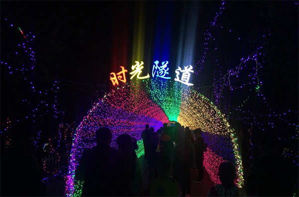 灯光节现场